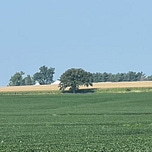 Katie’s Ground