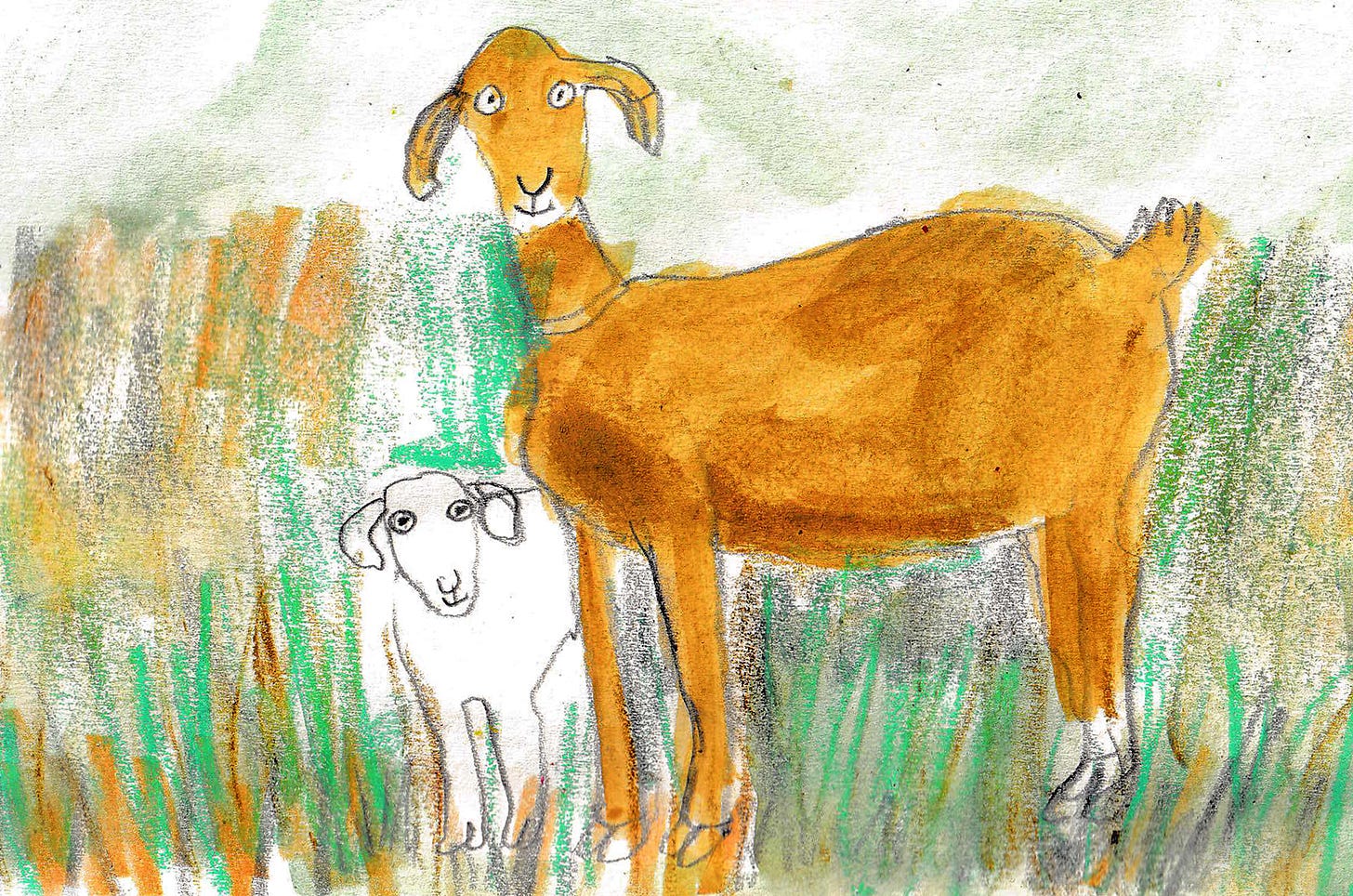 goats illustrated by Beth Spencer goats illustrated by Beth Spencer