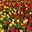 CrimsonThorn's avatar