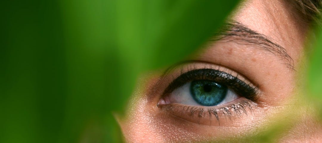 person watching through green leaf person watching through green leaf
