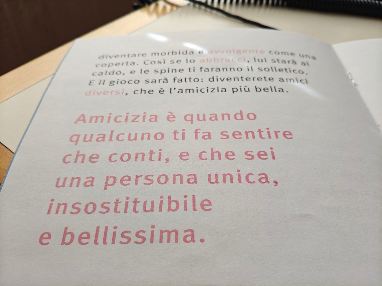 Una pagina del libro Amicizia della collana Scatoline di effequ con queste parole scritte in rosa: Amicizia è quando qualcuno ti fa sentire che conti, e che sei una persona unica, insostituibile e bellissima.