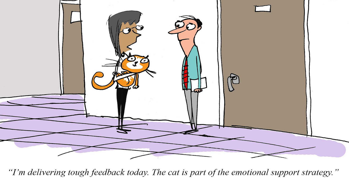Cartoon of a manager holding an orange cat while speaking with an employee in an office hallway, with a caption joking that the cat is part of the emotional-support strategy for delivering tough feedback.
