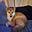PhilosoDoge's avatar