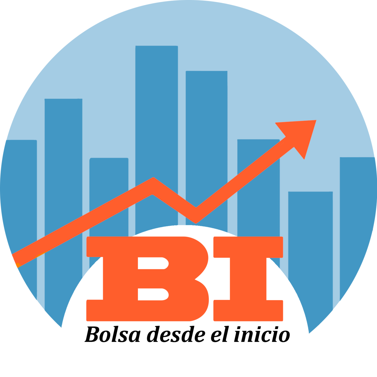 Bolsa Desde El Inicio 