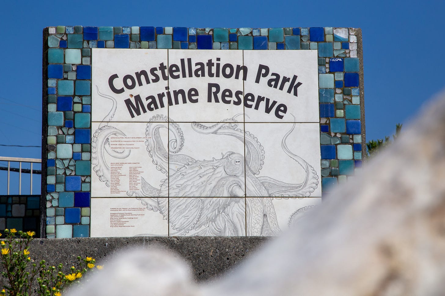 Constellation Park Marine Reserve Constellation Park Marine Reserve