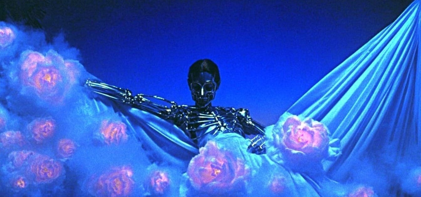 Skynet Is Running in My Kitchen