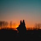 The bowl now left empty