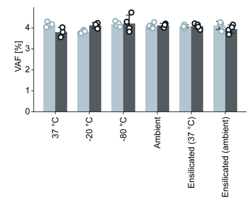 Bar chart comparing variant allele frequency (VAF, %) for circular ssDNA (light blue) and linear ssDNA (dark gray) libraries across the same six storage conditions. All bars cluster tightly around 4%, with no meaningful difference between library types, storage temperatures, or ensilication status. Replicate scatter is minimal throughout. Variant detection accuracy near the 4% level is preserved uniformly regardless of storage condition. Bar chart comparing variant allele frequency (VAF, %) for circular ssDNA (light blue) and linear ssDNA (dark gray) libraries across the same six storage conditions. All bars cluster tightly around 4%, with no meaningful difference between library types, storage temperatures, or ensilication status. Replicate scatter is minimal throughout. Variant detection accuracy near the 4% level is preserved uniformly regardless of storage condition.