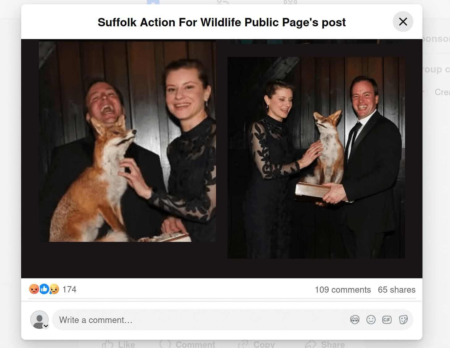 Guffawing toffs pose with a stuffed fox at the Thurlow Hunt Ball, via Suffolk Action for Wildlife