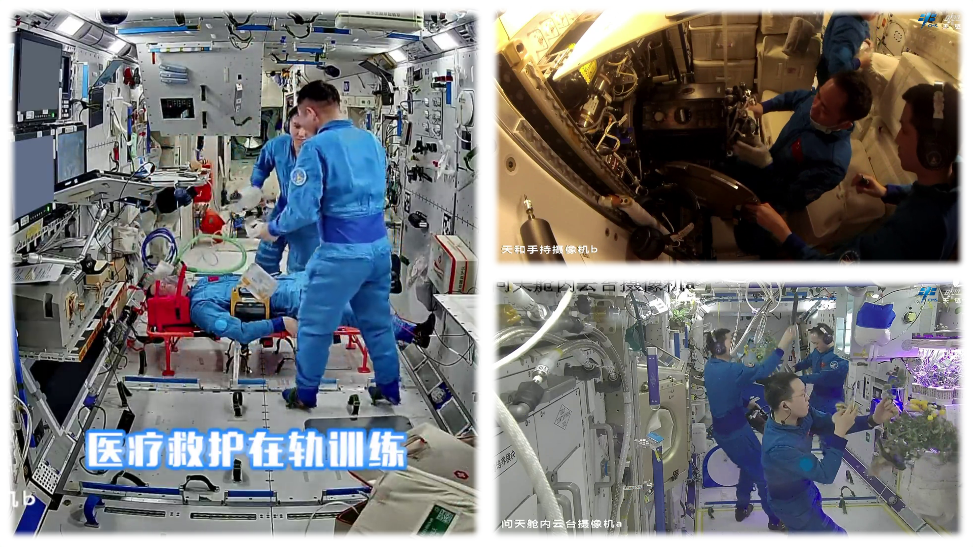 Zhang Lu and Wu Fei take part in medical rescue training utilizing Zhang Hongzhang (left), reinstalling part of the materials science cabinet (top right), and all three taikonauts taking part in the harvest of cherry tomatoes (bottom right).