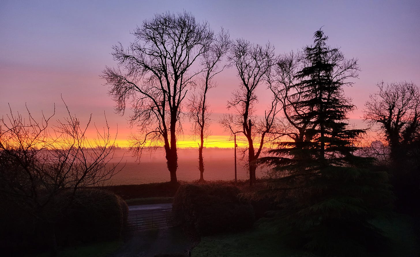 Dawn in Irish countryside, with pink, yellow and blue sky, trees, bushes and grass. Dawn in Irish countryside, with pink, yellow and blue sky, trees, bushes and grass.