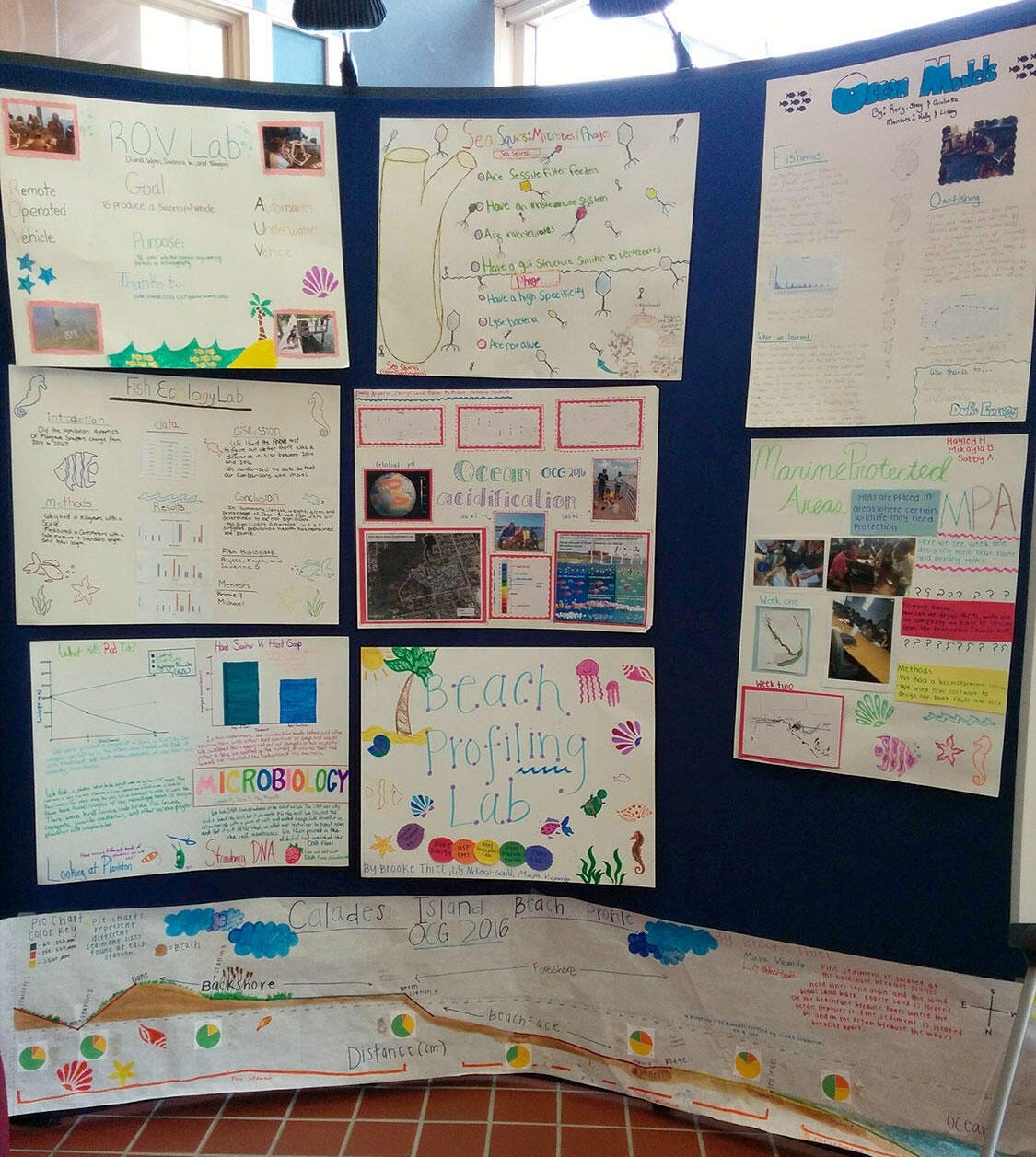 Image shows a trifold with several camper-made research projects attached. Image shows a trifold with several camper-made research projects attached.