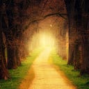 Logo for Joanne Pearring