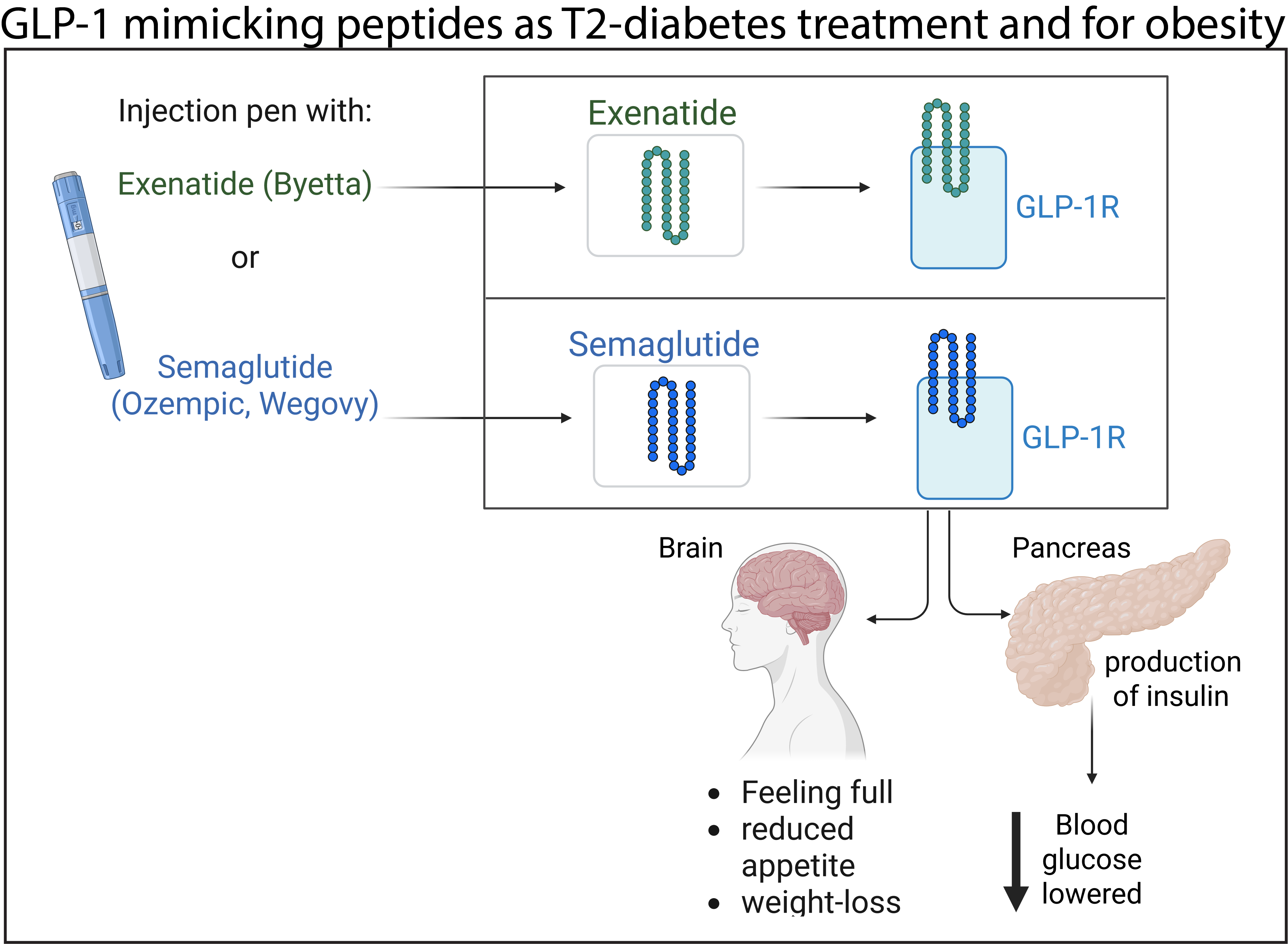 glp 1 mimickers The strange link between a venomous lizard and modern weight-loss drugs