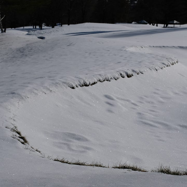 Building a web of connection - - walks in the snow and mending old clothes.
