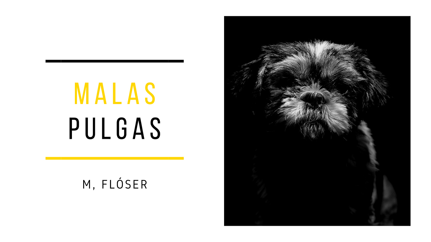 En la imagen vemos el primer plano de un perro de raza indeterminada. Es pequeño, peludo. Puede llegar a recordar a un osito de peluche. Tiene el pelaje negro, con canitas en el hocico chato. El resto de la imagen está en negro, con lo que no vemos nada más que el animal. El relato se titula “Malas pulgas”.