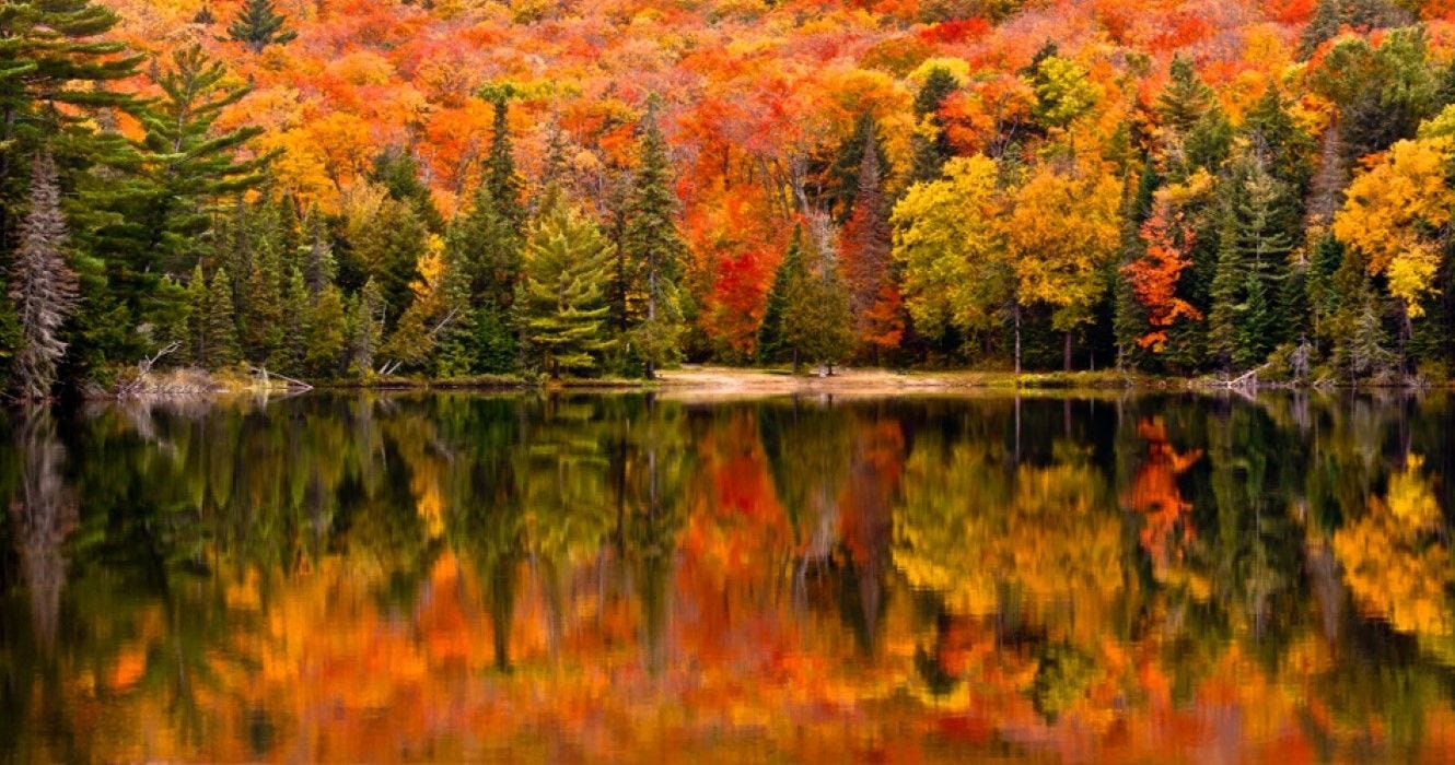 10 Places In Canada To See Fall Foliage 10 Places In Canada To See Fall Foliage