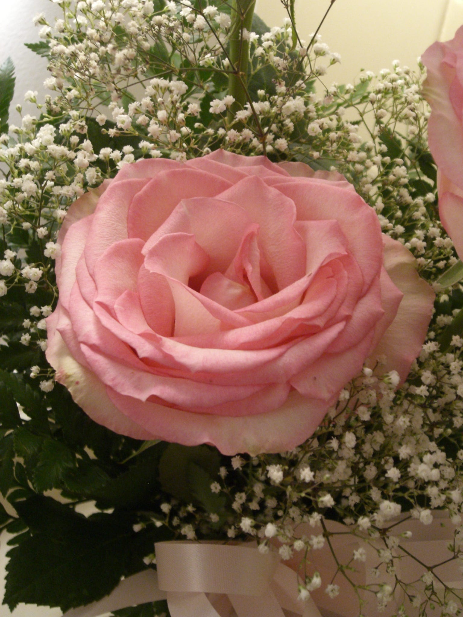 Jessica’s Newsletter