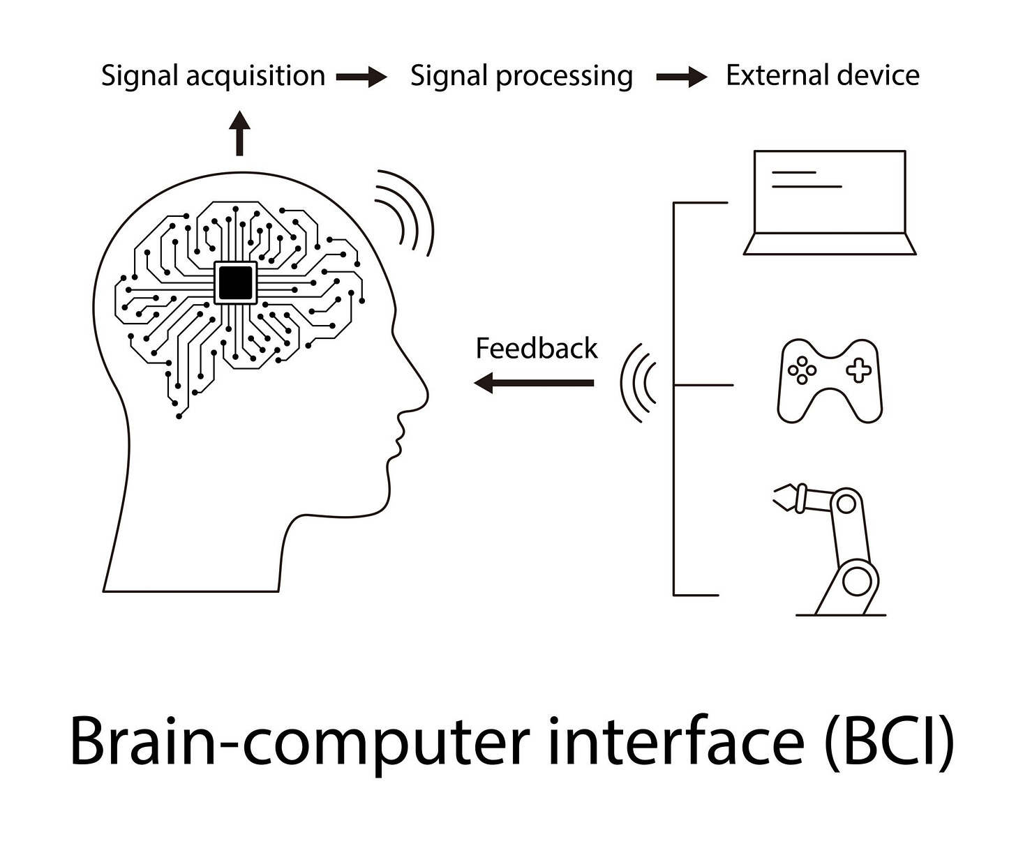 router vs human brain diagram