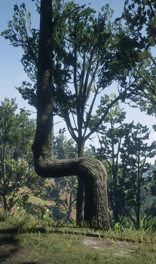 https://static.wikia.nocookie.net/reddeadredemption/images/4/48/RDR2_POI_37_Trail_Trees_%28I%29_01.png/revision/latest?cb=20181207163215