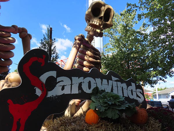 scarowinds | rmrk*st | Remarkist Magazine