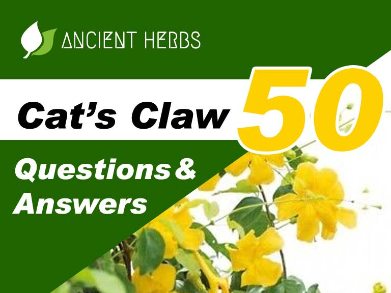 Cat's Claw