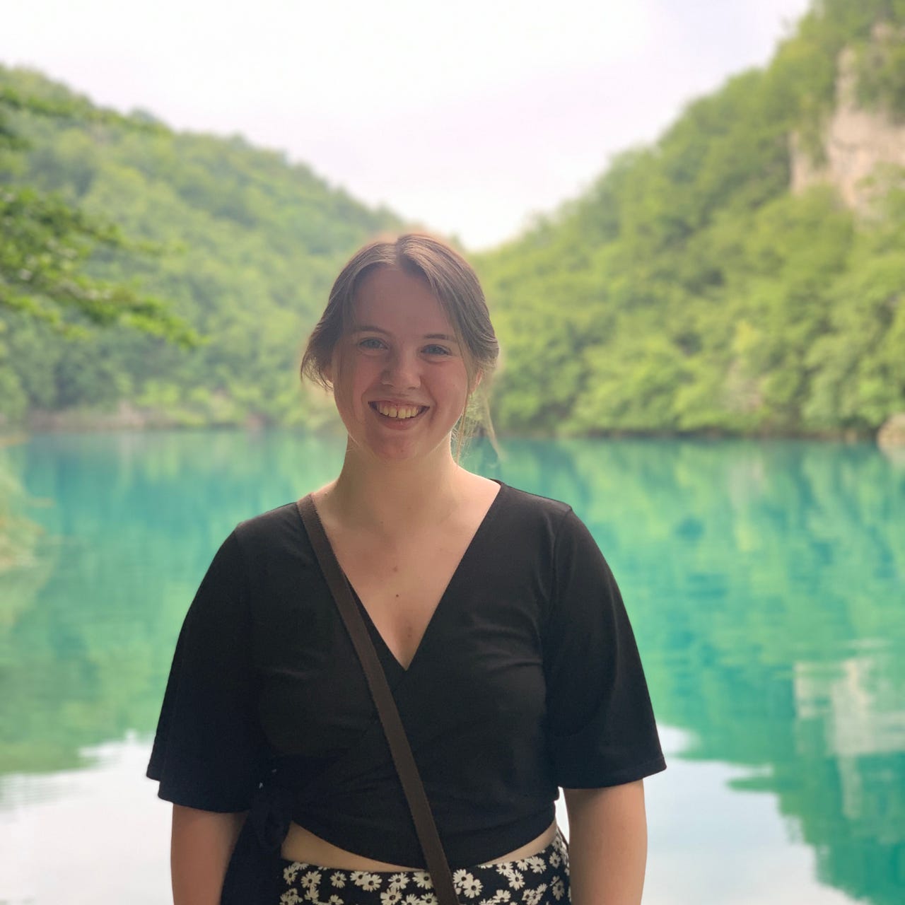 Artwork for dutchiesdiary