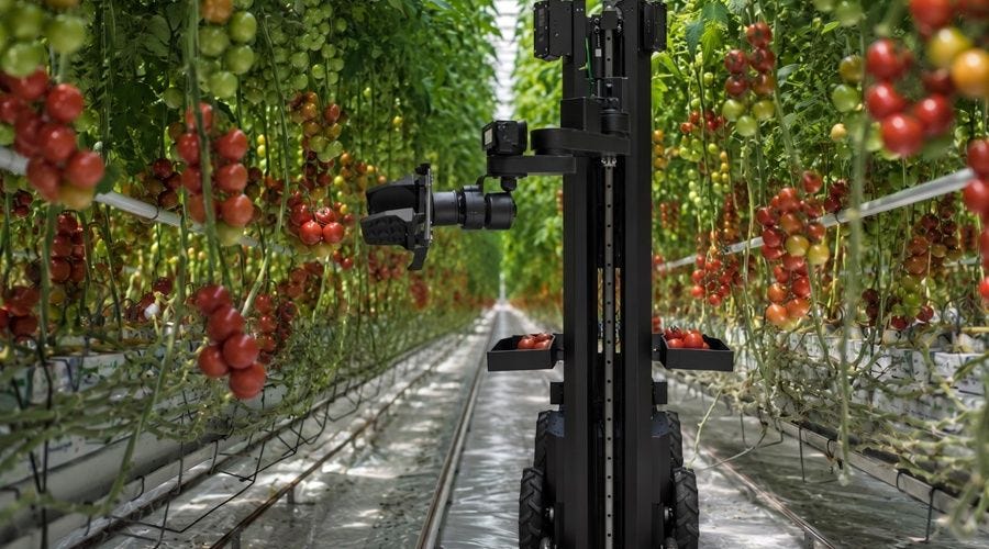 Egrobots unveils AI-powered harvesting robot built entirely by Egyptian engineers Egrobots unveils AI-powered harvesting robot built entirely by Egyptian engineers