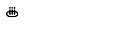 My Jazz Life