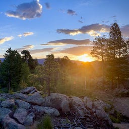 Artwork for Charlie’s Newsletter