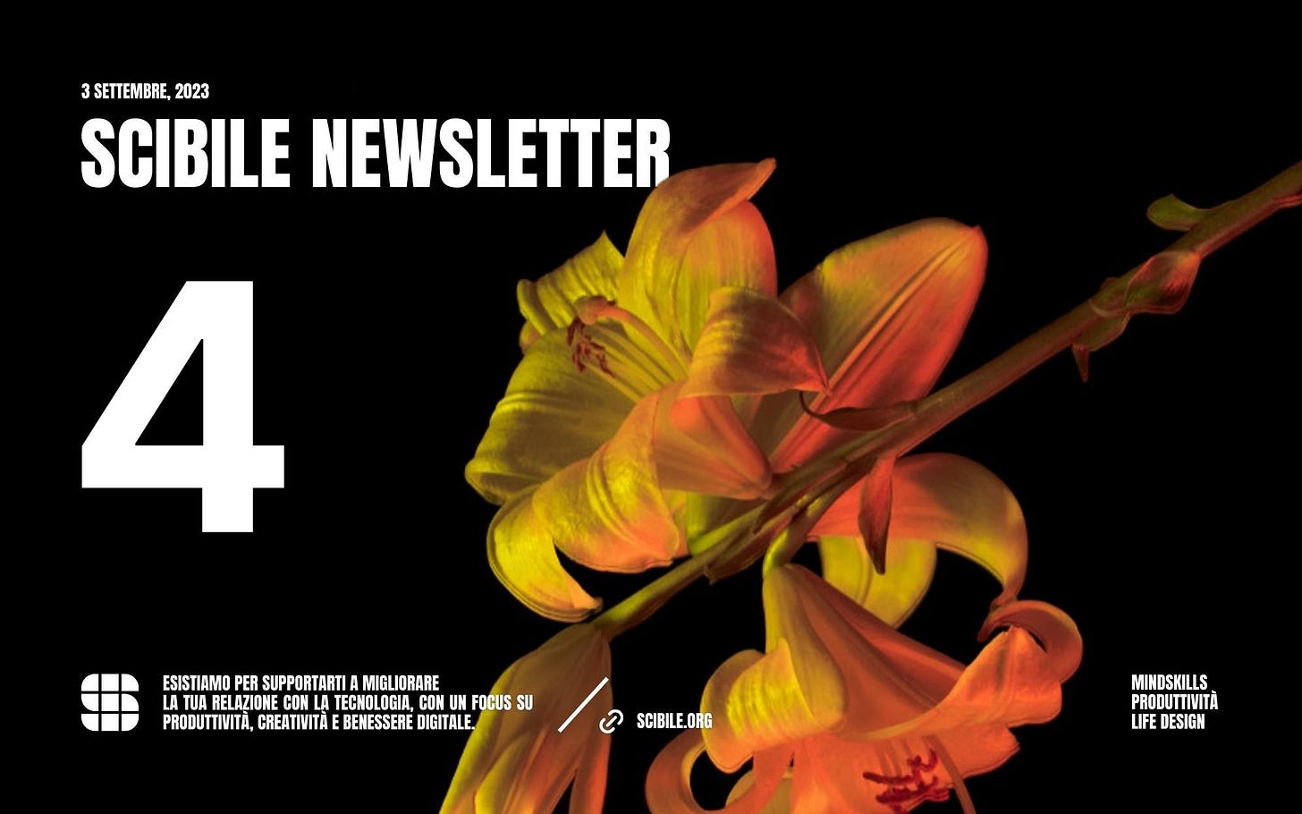 Resilienza e Antifragilità / Scibile Newsletter / Uscita N°4 Resilienza e Antifragilità / Scibile Newsletter / Uscita N°4