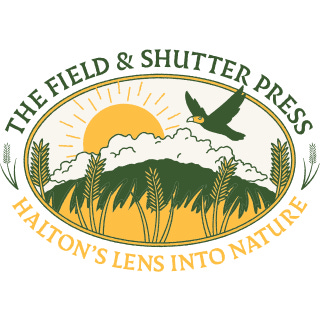 The Field & Shutter Press