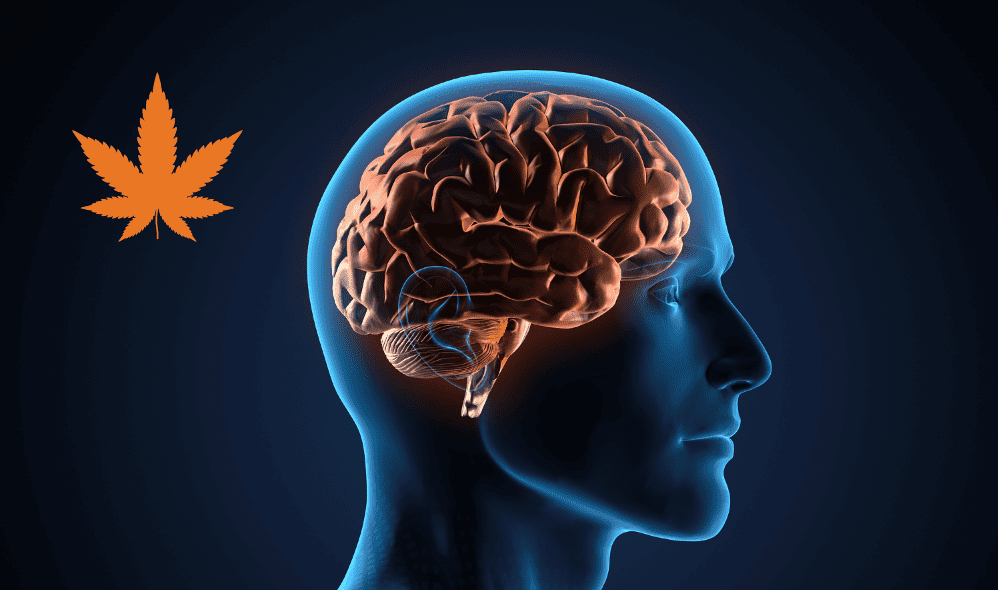 Could CBD Help Treat DIPG? | ChadTough Defeat DIPG Foundation