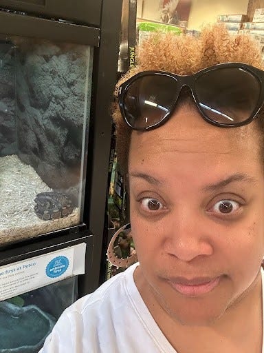 Dawn in front of a snake behind glass, with trepidation