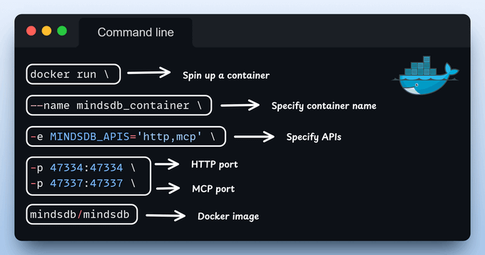 Docker Setup Docker Setup