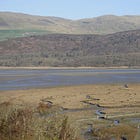 Estuary and the art of creating space for meaningful conversation