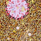 The pathway for MIS-C, Methylene Blue as protective supplement