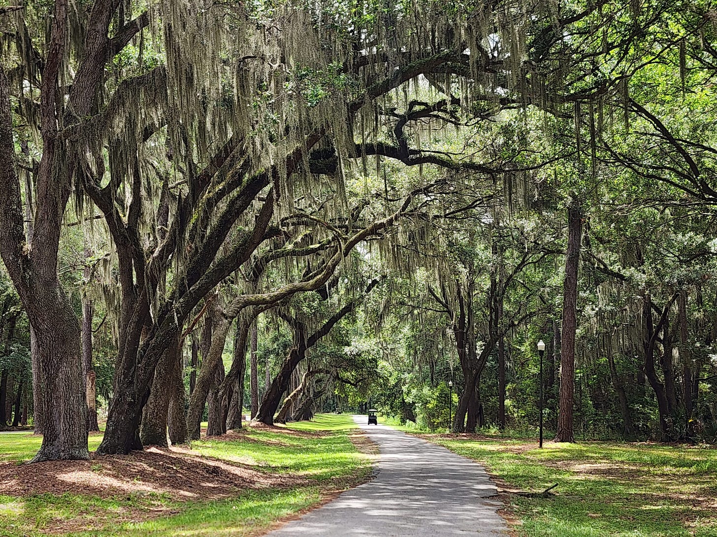 Escape from New York Socialism: Fed up with NYC? Discover Daufuskie Island, a Carolina refuge of freedom, faith, and fried flounder.