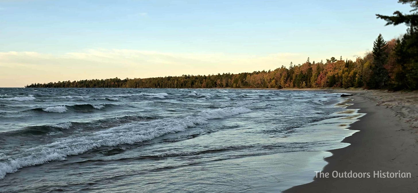 Large waves hit the shores of a sandy bay under the soft light of morning with a forest point in the background.