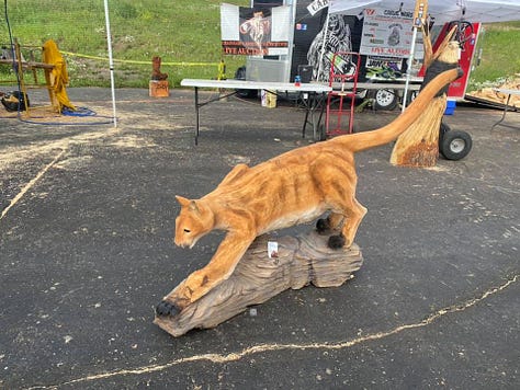 Colorado wood carving competition photos