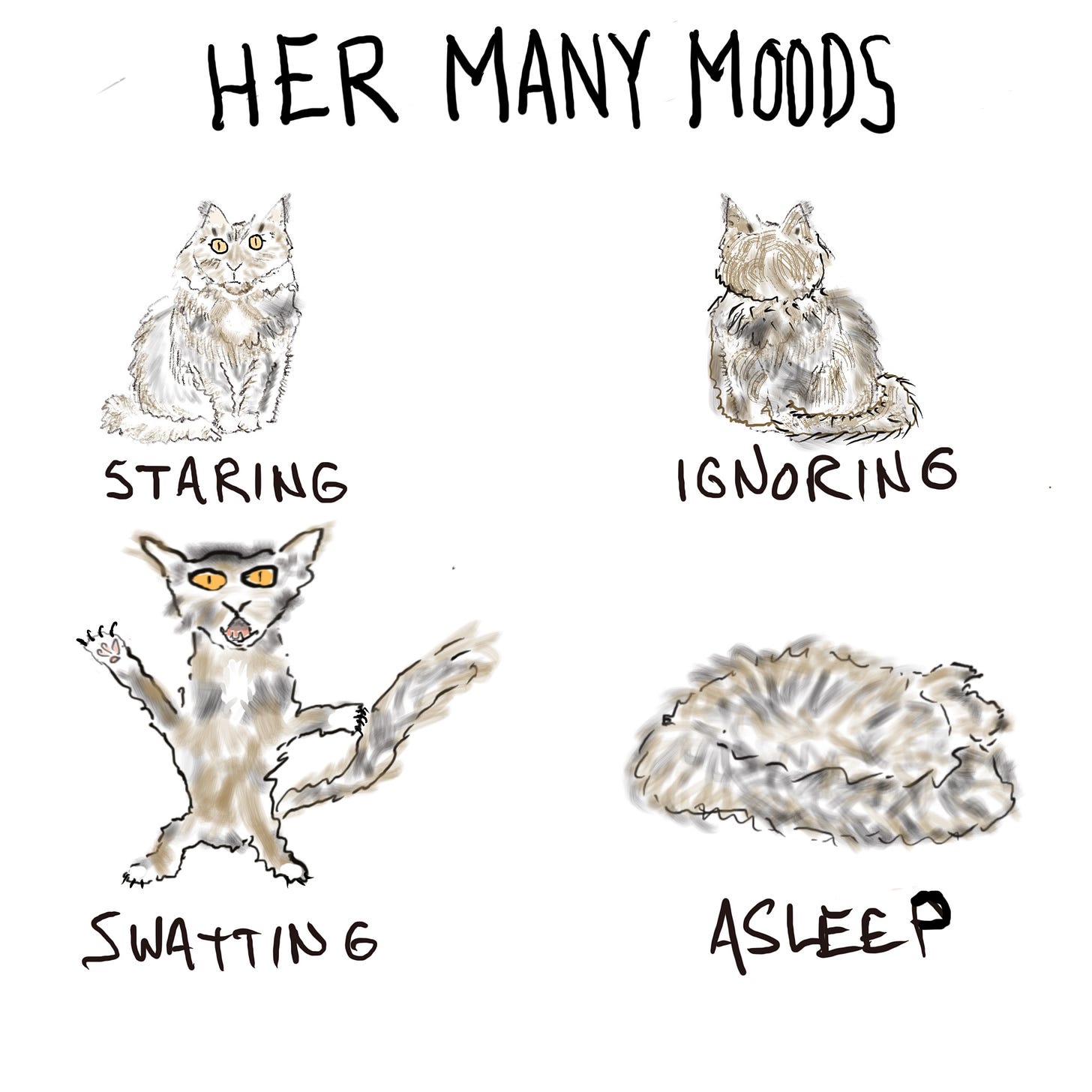 the many moods of a cat