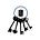 The Laconic Keys