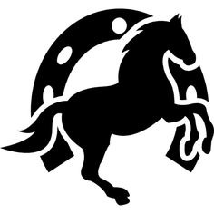 The Life of a Professional Gambler.