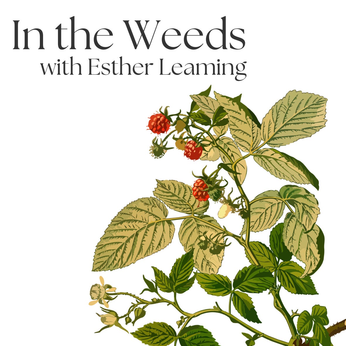 In the Weeds with Esther Leaming