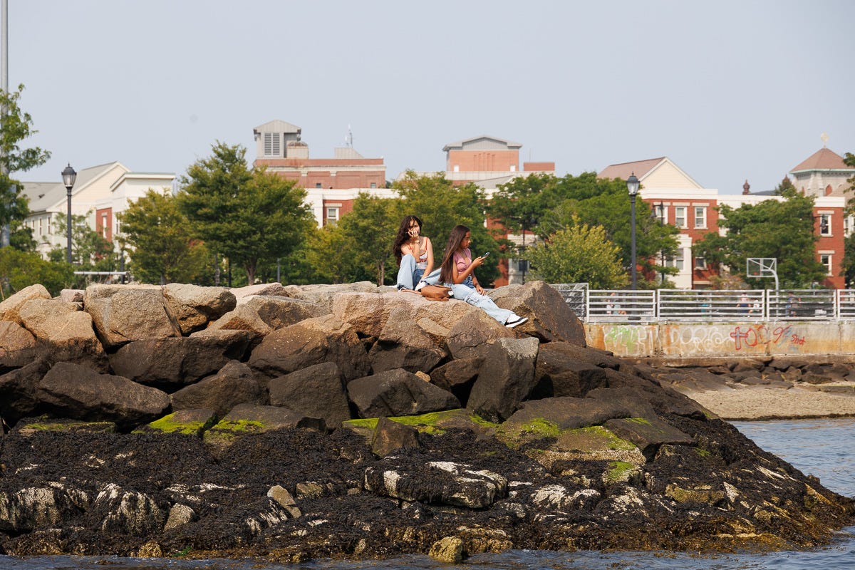 Two women sitting on large harbor rocks in Boston, using phones and enjoying the waterfront