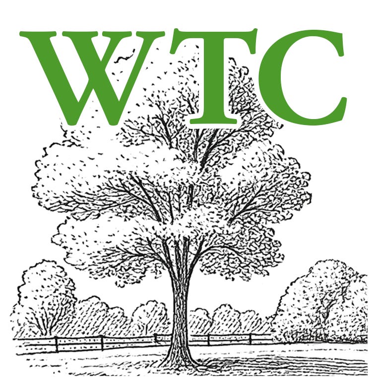 Woodbridge Town Chronicle