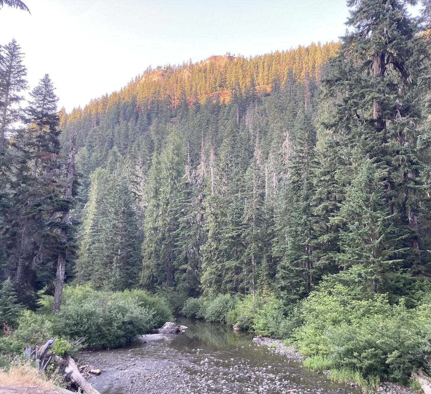 Golden sunset light on a forested hill over a river