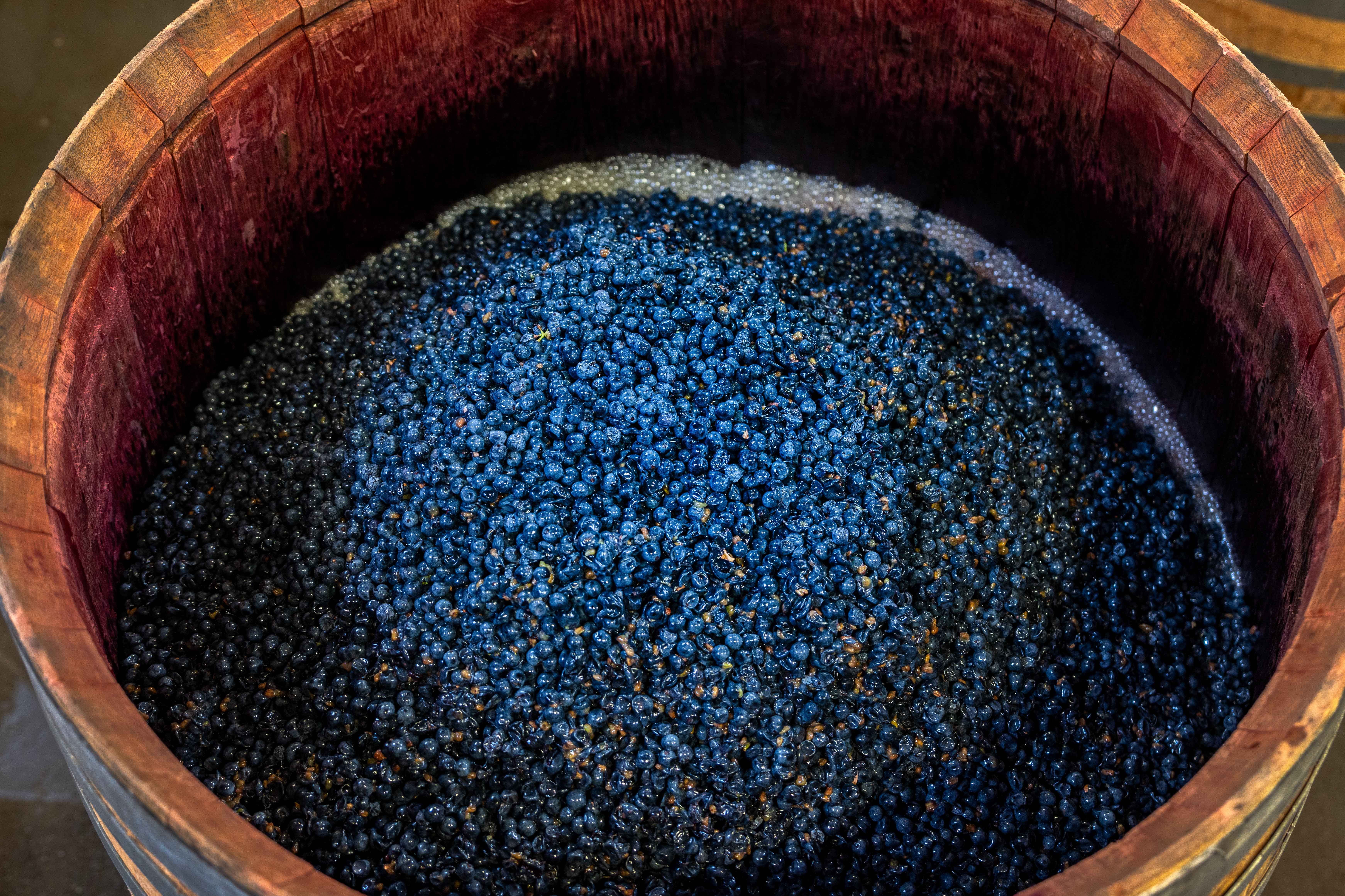 napavalleyfocus.substack.com - Wine Chronicles: Syrah and Pinot Noir - A Blend Worth Testing