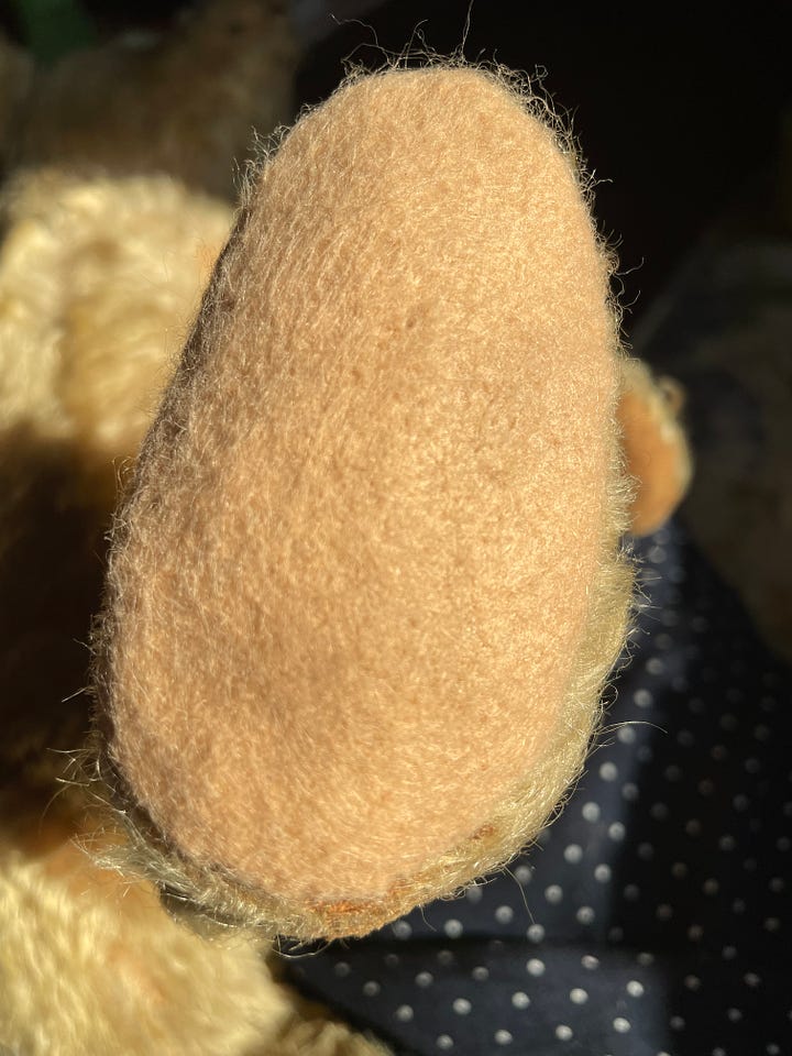 An antique teddy bear being repaired.