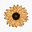 Avatar de Mia